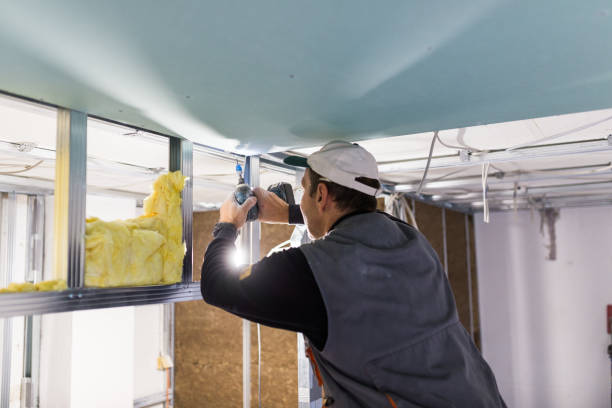 Best Insulation Maintenance and Repair in Lepanto, AR