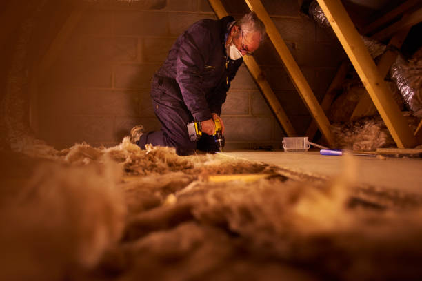 Best Commercial Insulation in Lepanto, AR